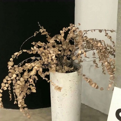 兽设暗黑风格设计福瑞交流群